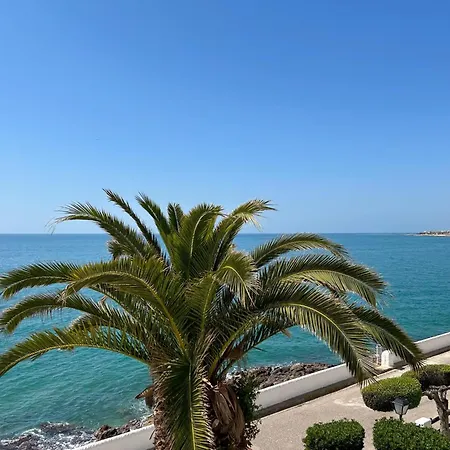 Palmbreeze * Vilanova i la Geltru
